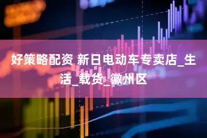 好策略配资 新日电动车专卖店_生活_载货_徽州区