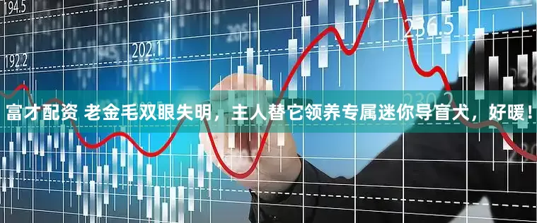 富才配资 老金毛双眼失明，主人替它领养专属迷你导盲犬，好暖！